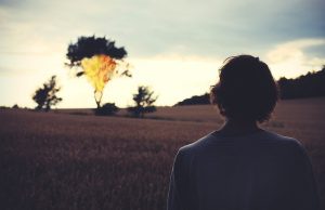 15. Visão Espírita da Bíblia – Novo Testamento (os Evangelhos)