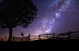 19. Filosofia Antiga (Séc. VI a.C. a séc. IV a.C.) – Período Pré-Socrático / Princípios constitutivos do Universo