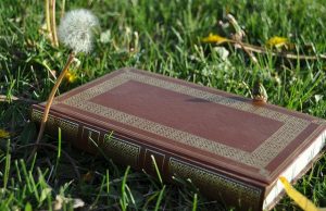 21. Filosofia Antiga (Séc. VI a.C. a séc. IV a.C.) / Sócrates e Platão, precursores da ideia cristã e do Espiritismo