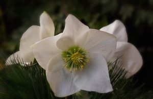 21. Ética Espírita