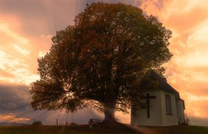 22. Filosofia Antiga (Séc. VI a.C. a séc. IV a.C.) – Aristóteles / Deus, Existência e Natureza