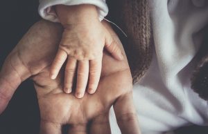 33. Filosofia Contemporânea (Séc. XIX aos dias atuais): Bergson / Evolução Anímica