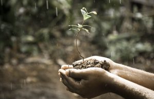 34. Filosofia Contemporânea (Séc. XIX aos dias atuais): Existencialismo