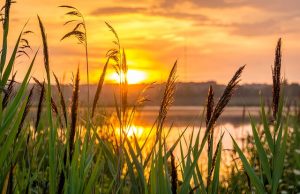 35. Filosofia Espírita da Existência