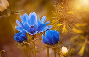 4.Filosofia e Filosofia Espírita – Aspectos Convergentes e Divergentes