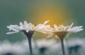 5.O Espiritismo e a Tradição Filosófica