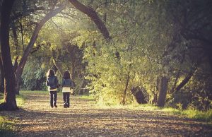 Caminhos para a Paz – Parte II