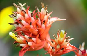 THE NEW ERA IN ACCORDANCE WITH THE GOSPEL ACCORDING TO SPIRITISM