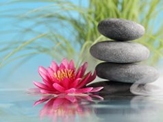 Lei de Sociedade como construtora da cidadania cristã e espírita