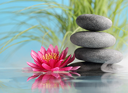 Lei de Sociedade como construtora da cidadania cristã e espírita