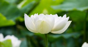 AULA TEMÁTICA I – O PENSAMENTO DE EMMANUEL